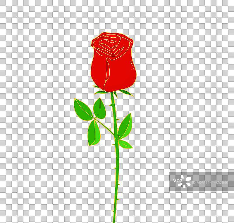 爱情红玫瑰花卉植物标本设计装饰插画插花图片素材