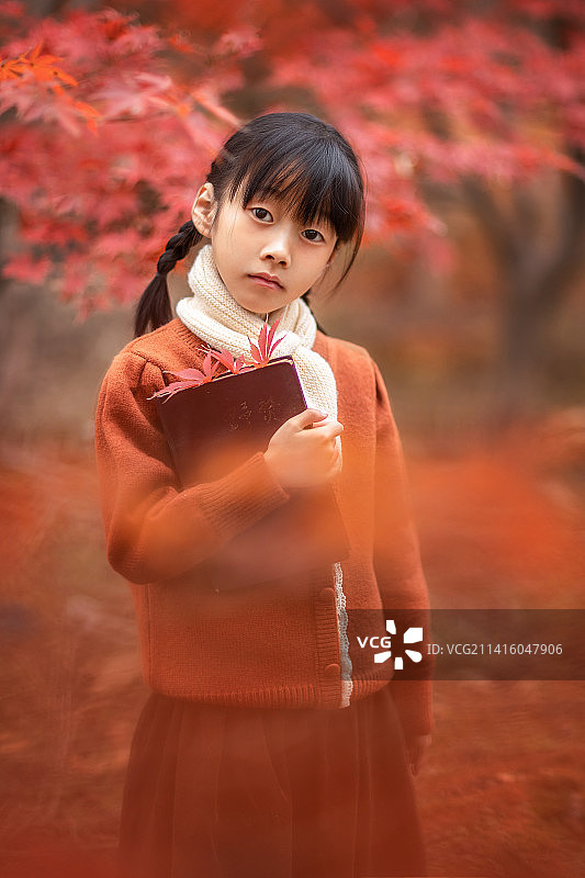 冬天的枫树林里的小女孩图片素材