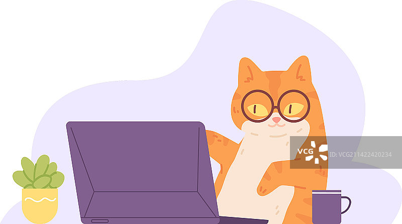 猫笔记本电脑认真小猫戴眼镜键盘图片素材