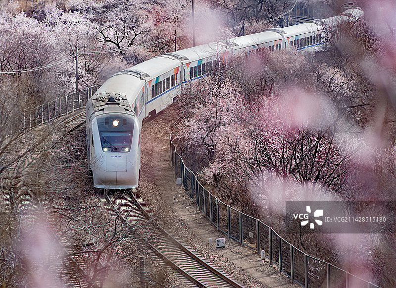 春天北京居庸关长城S2线花海列车图片素材
