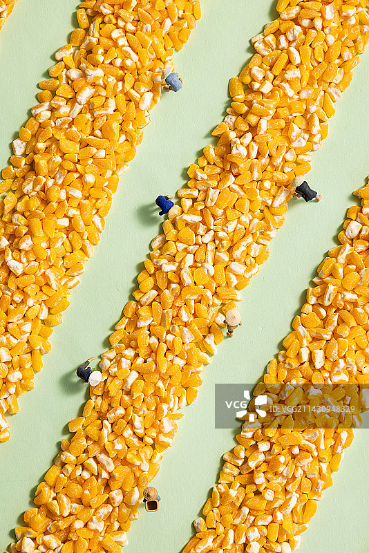 玉米碎农民丰收创意图片图片素材