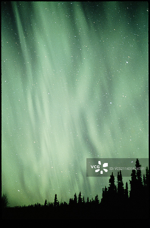 北极光或森林上空的北极光图片素材