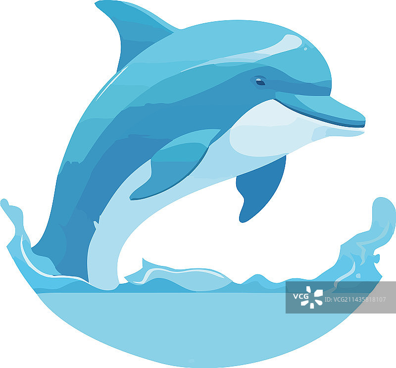 可爱的海豚在蓝色的海浪中游泳图片素材