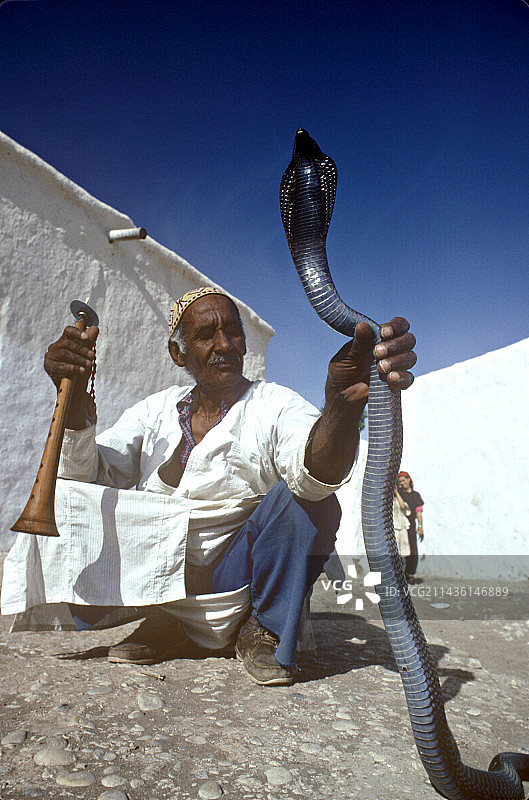 耍蛇人和埃及眼镜蛇摩洛哥图片素材
