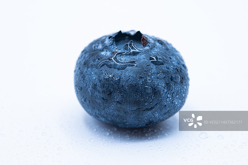 晶莹剔透的云南蓝莓图片素材