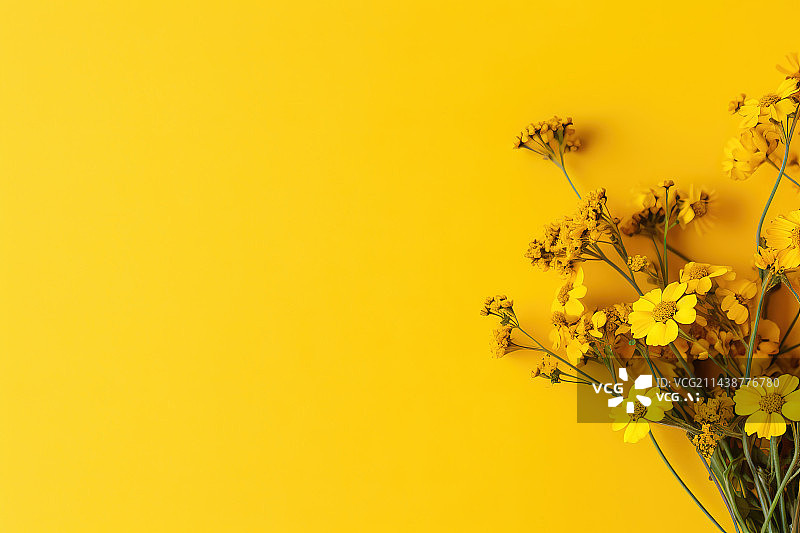【AI数字艺术】黄色背景下的花朵特写镜头图片素材
