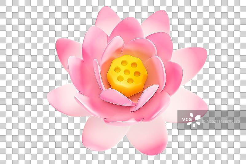 3D立体粉色荷花渲染图图片素材