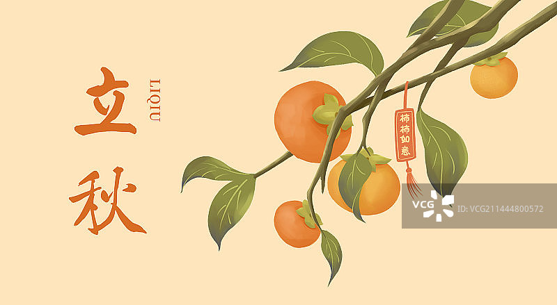 立秋柿子插画海报图片素材