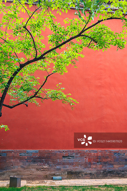 北京太庙红墙绿树图片素材