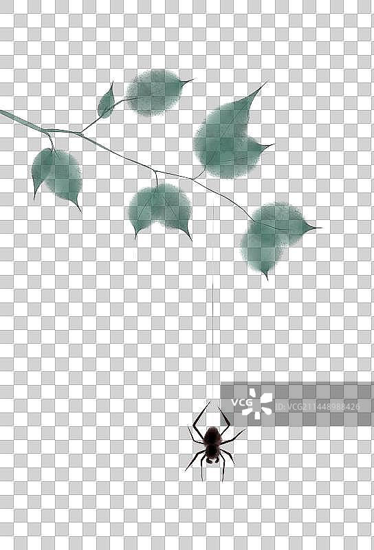 树枝蜘蛛素材图片素材