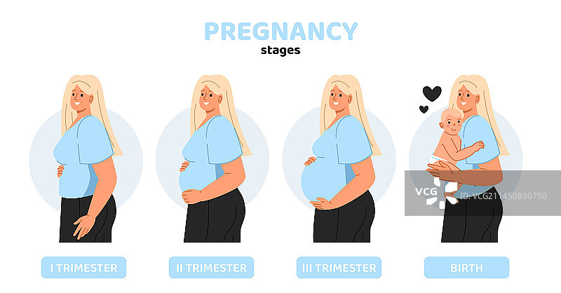 一套怀孕阶段概念图片素材