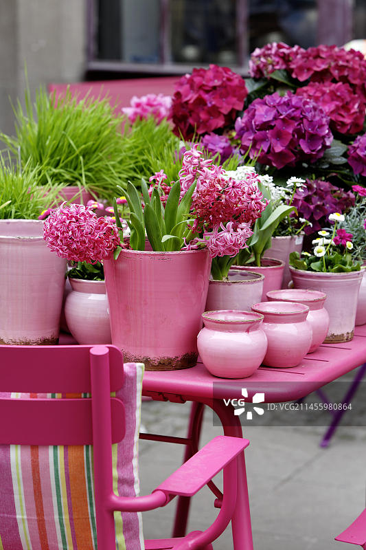 春天的花园桌子，粉红色的花朵和花盆，斯图加特，巴登-符腾堡州，德国，欧洲图片素材