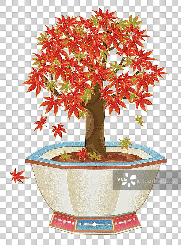 二十四节气寒露植物枫树枫叶插画元素图片素材