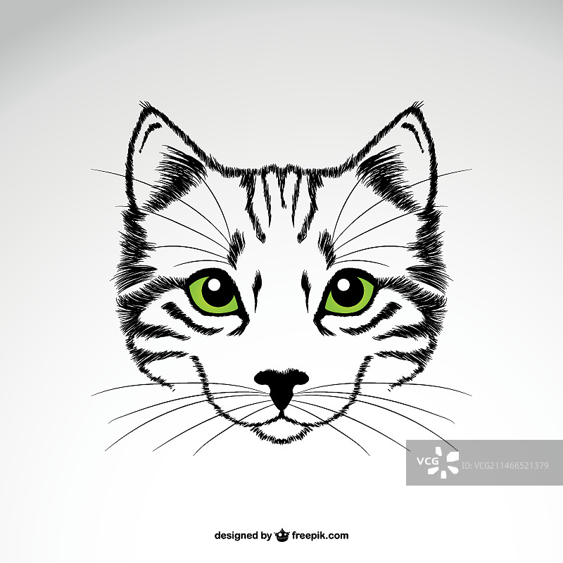 绿眼睛的猫头图片素材