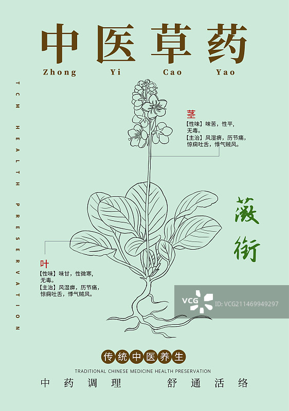 手绘中草药薇衔特写植物插画版式设计海报图片素材