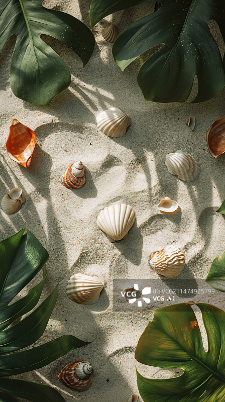 【AI数字艺术】沙滩上的贝壳和植物图片素材