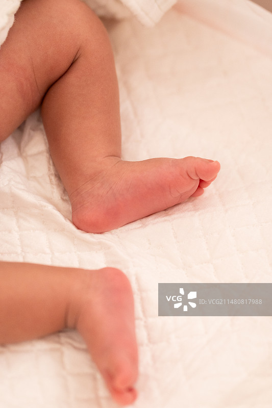 新生儿的小脚丫图片素材