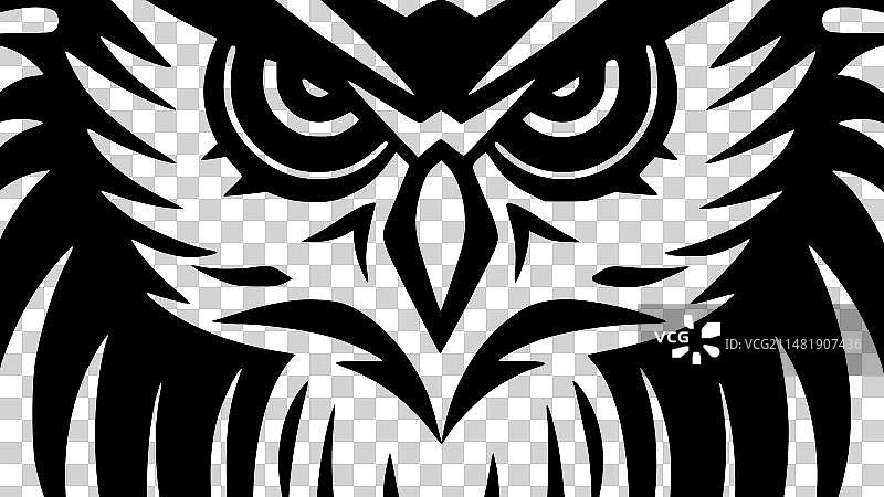 猫头鹰——黑白相间图片素材