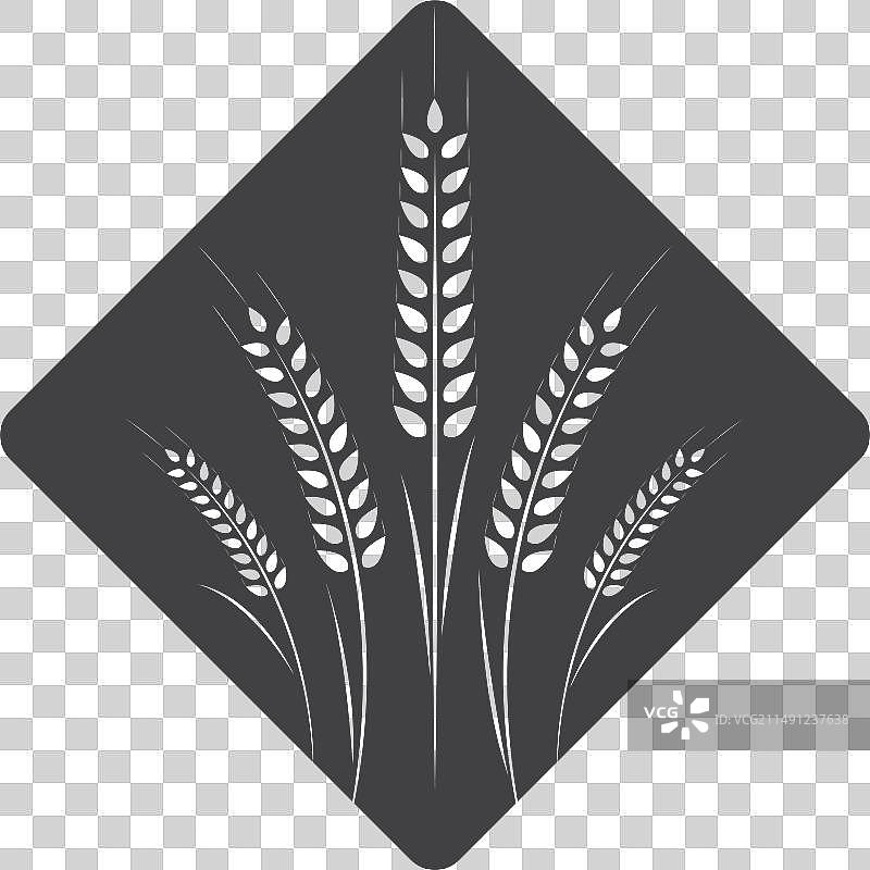 农业小麦标志模板图片素材