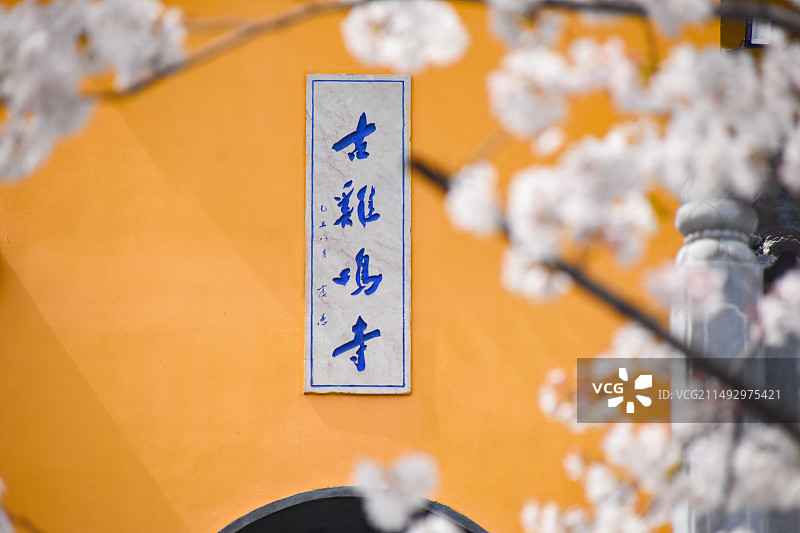 南京鸡鸣寺樱花盛开图片素材