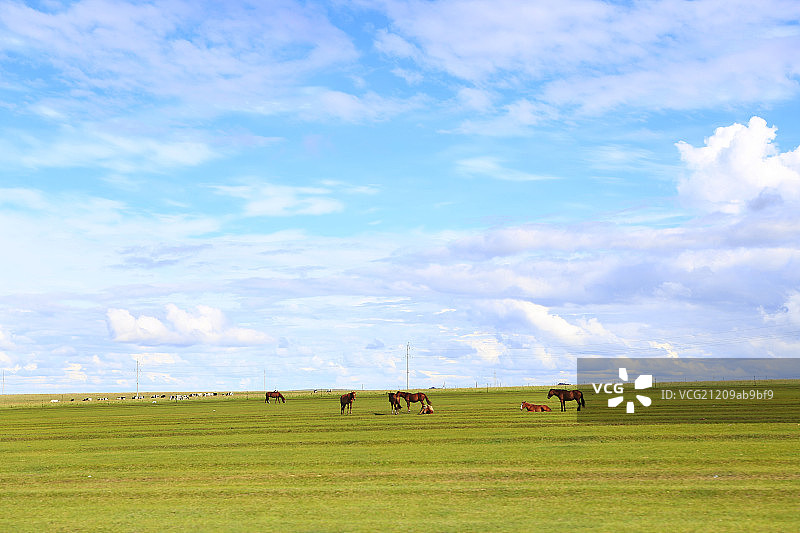 风景秀丽的呼伦贝尔海拉尔草原图片素材