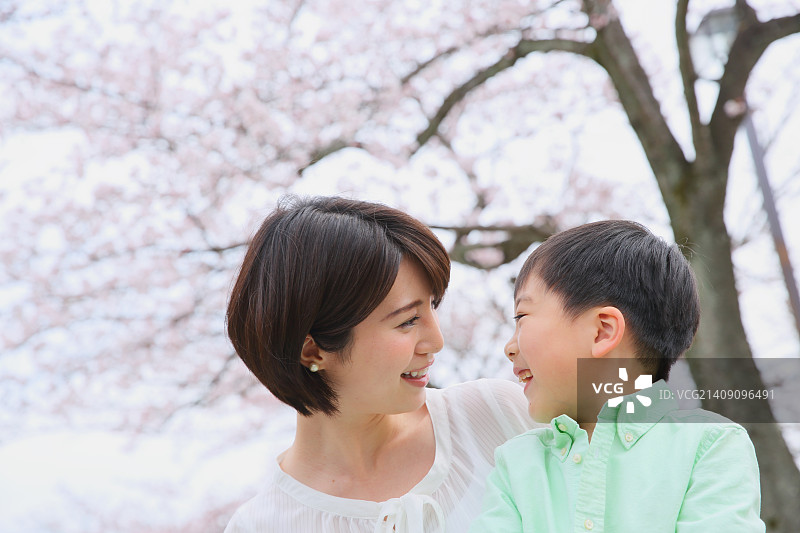 日本母亲和儿子与樱花在城市公园图片素材