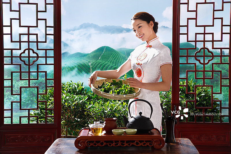 一个东方青年女人在茶园采茶图片素材