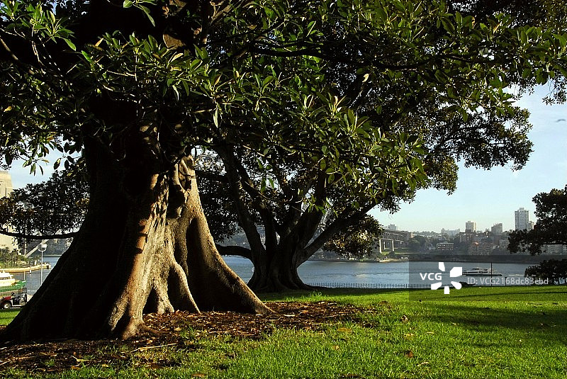 悉尼公园景色图片素材