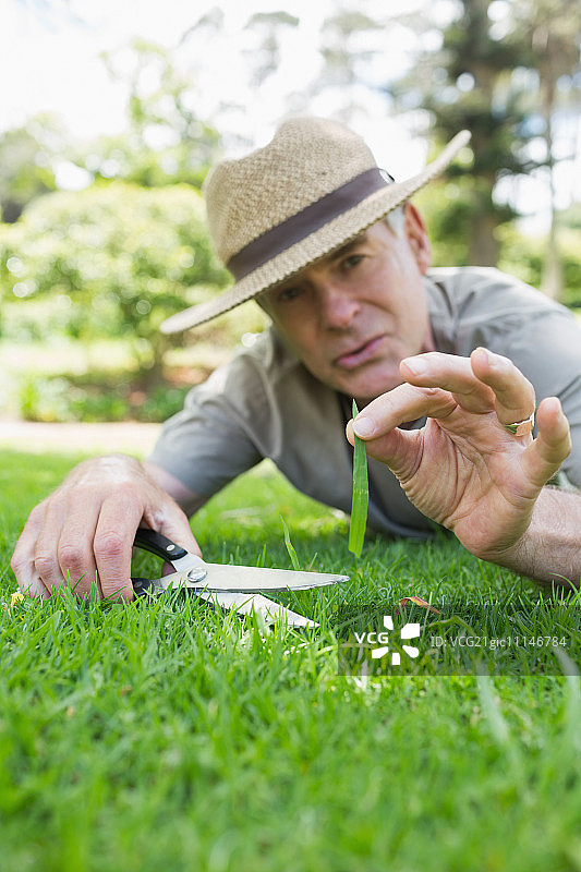 一个男人用剪刀割草的特写图片素材