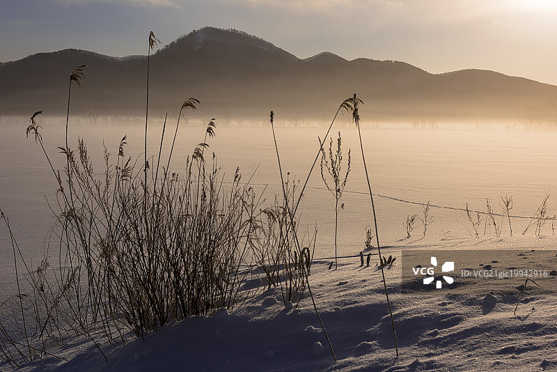 仲冬的赤菅国家公园雪地，摄于日本北海道赤菅国家公园帝胜镇图片素材