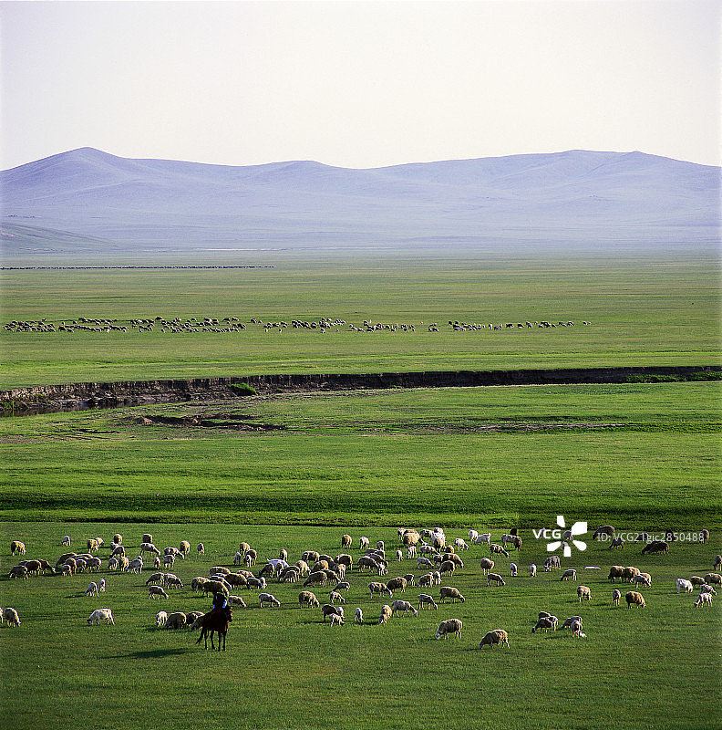 内蒙古呼伦贝尔草原图片素材