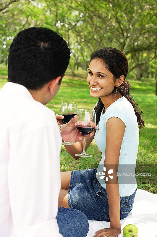 一对夫妇在野餐，用酒杯敬酒图片素材