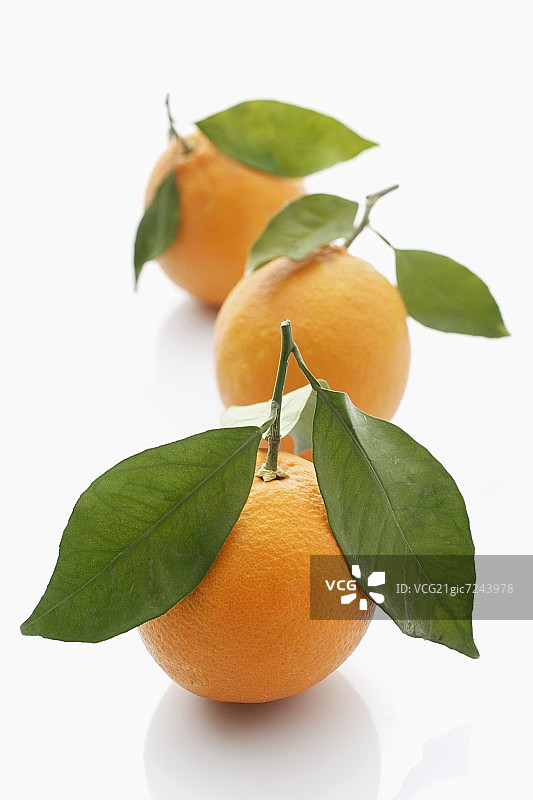 三个带叶子的橙子图片素材