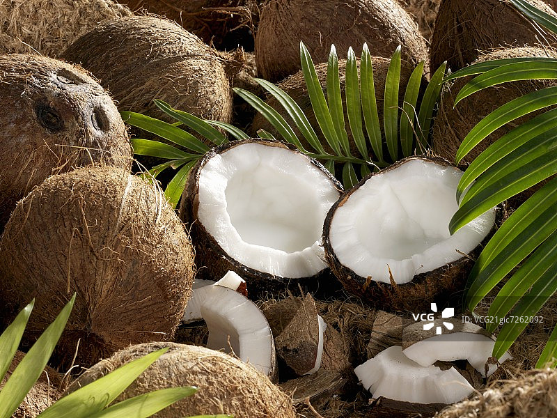有完整和打开的椰子的静物图片素材