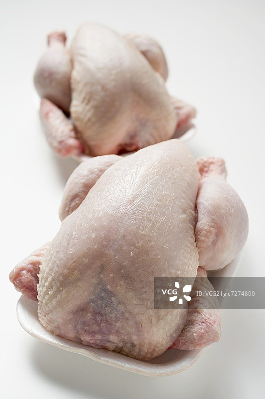 两只新鲜的鸡放在聚苯乙烯托盘里图片素材