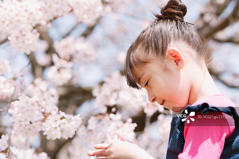 樱花盛开的少女图片素材