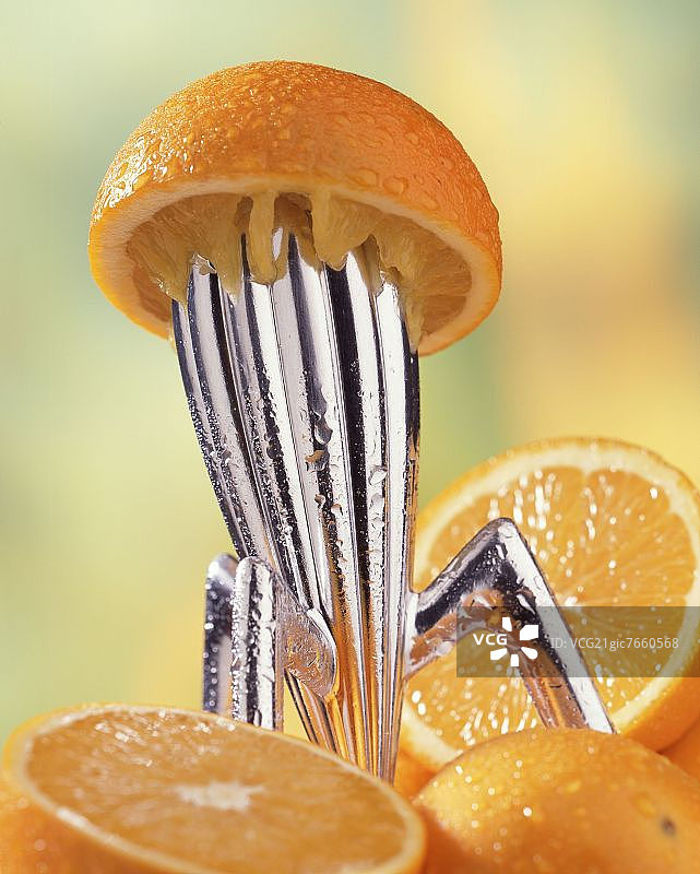 柠檬榨汁机上的橙子图片素材