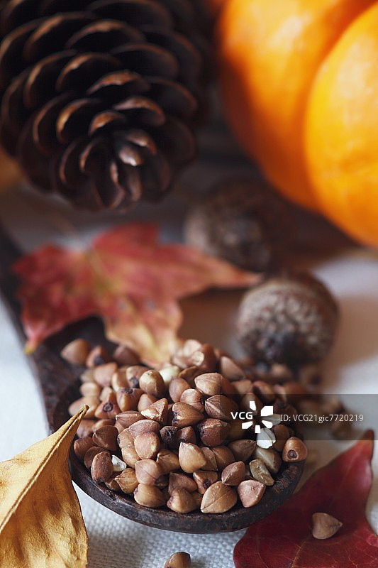 木勺烤卡沙;秋叶，橡子，松果和南瓜图片素材