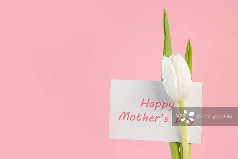 白色郁金香与一个快乐的母亲节贺卡在一个粉红色的背景接近图片素材