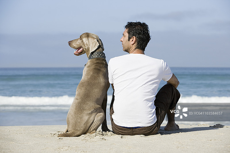 南非，开普敦，人和狗坐在海滩上图片素材