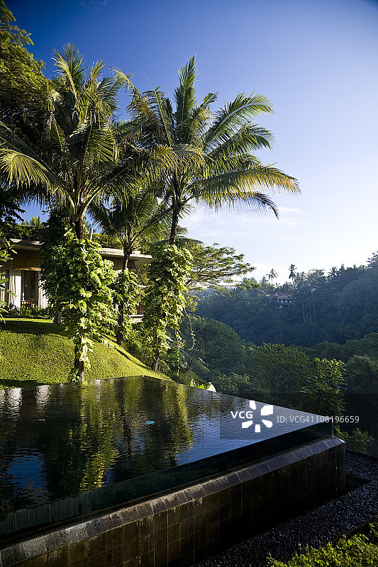 无限游泳池俯瞰巴厘岛丛林山谷图片素材