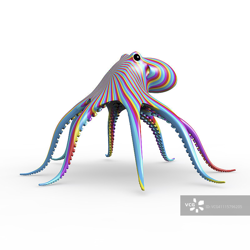 彩色章鱼在白色的背景图片素材