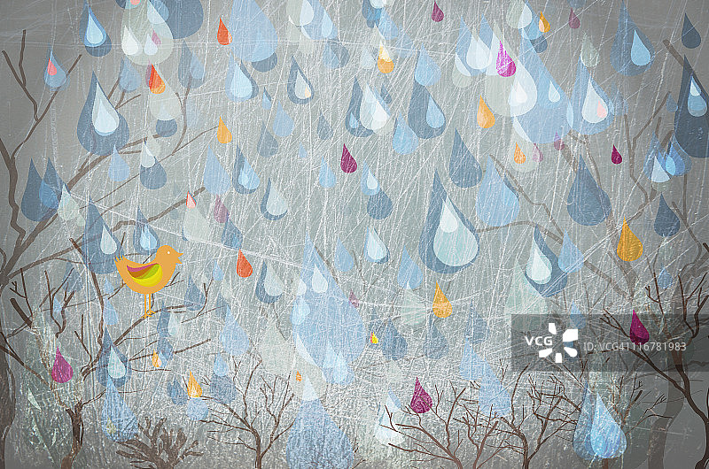 雨滴落在树上和一只鸟身上图片素材