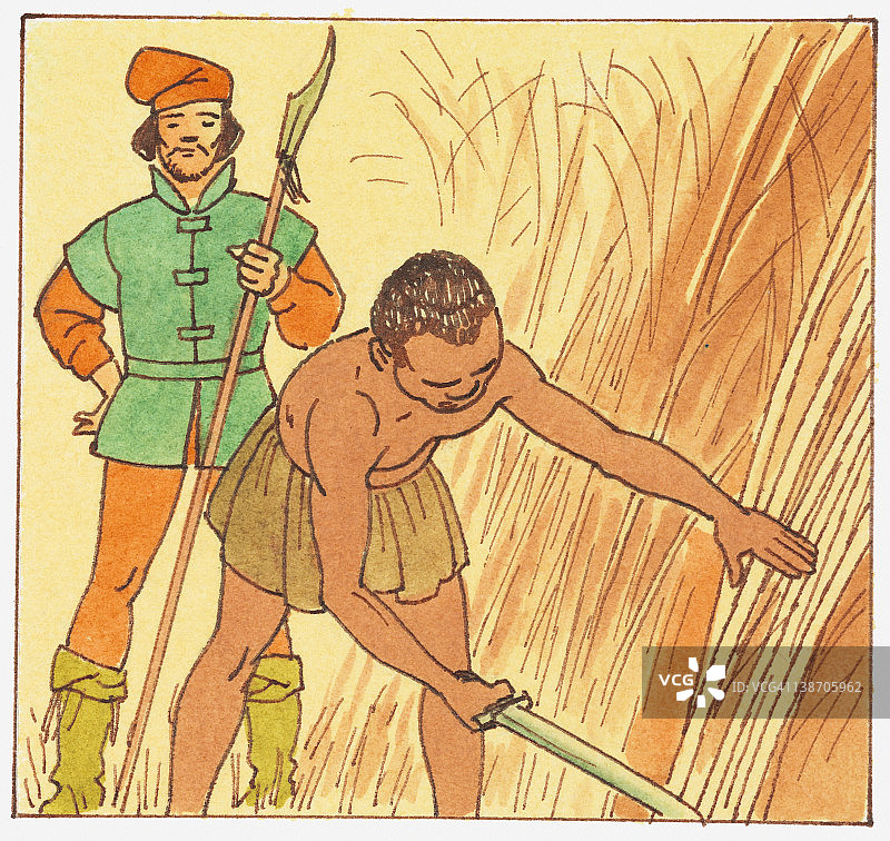 欧洲种植园的奴隶在守卫的注视下工作的插图图片素材
