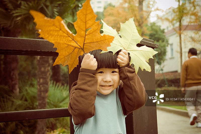 拿着秋叶的男孩图片素材