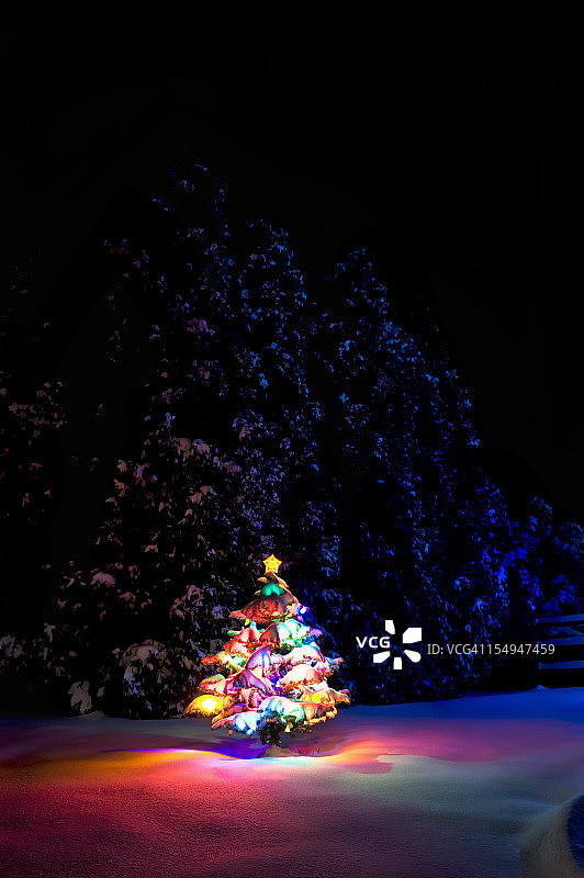五彩缤纷的圣诞树图片素材