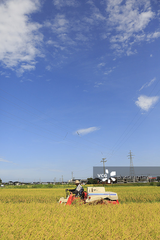 农民用联合收割机收割水稻图片素材