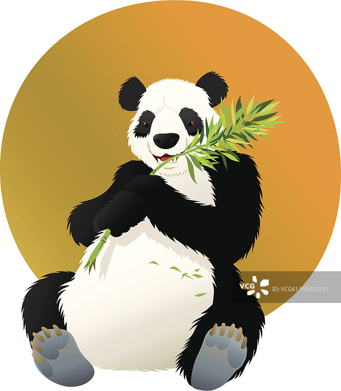 熊猫在吃竹叶图片素材