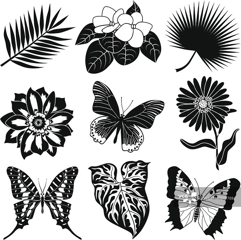 热带植物及蝴蝶图片素材