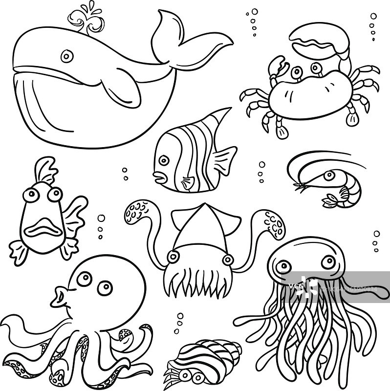 黑白相间的卡通海洋动物图片素材